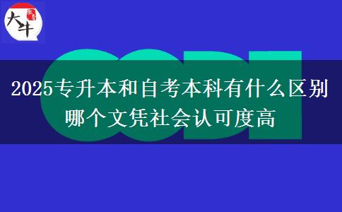 2025專升本和自考本科有什么區(qū)別 哪個文憑社會認(rèn)可度高