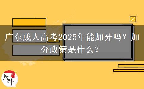 廣東成人高考2025年能加分嗎？加分政策是什么？