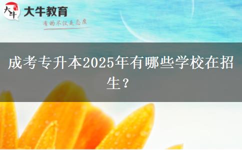 成考專升本2025年有哪些學(xué)校在招生？
