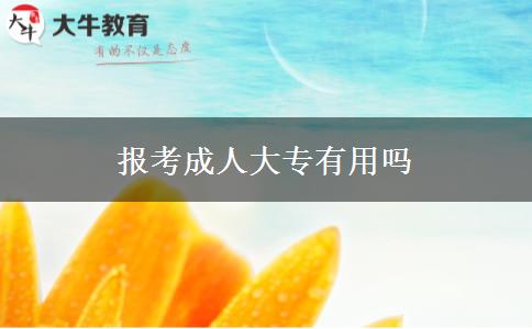 報(bào)考成人大專有用嗎