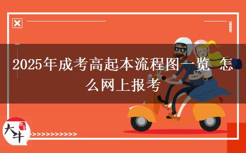 2025年成考高起本流程圖一覽 怎么網(wǎng)上報(bào)考