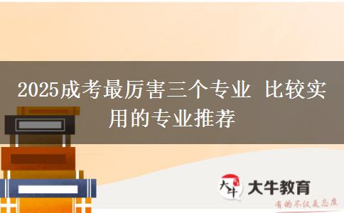 2025成考最厲害三個專業(yè) 比較實用的專業(yè)推薦