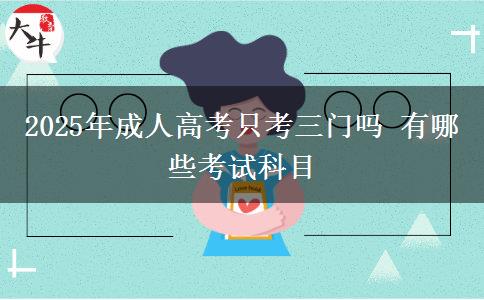 2025年成人高考只考三門嗎 有哪些考試科目