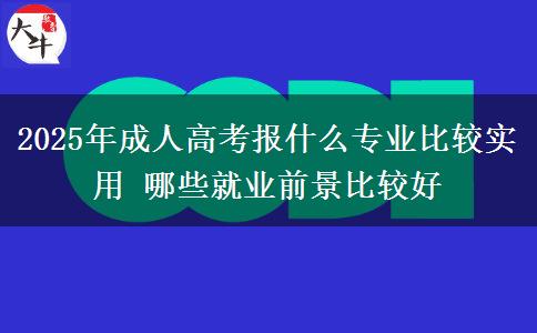 2025年成人高考報什么專業(yè)比較實用 哪些就業(yè)前景比較好