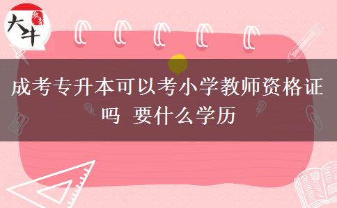 成考專升本可以考小學教師資格證嗎 要什么學歷