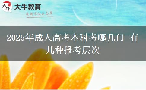 2025年成人高考本科考哪幾門 有幾種報(bào)考層次