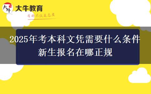 2025年考本科文憑需要什么條件 新生報(bào)名在哪正規(guī)