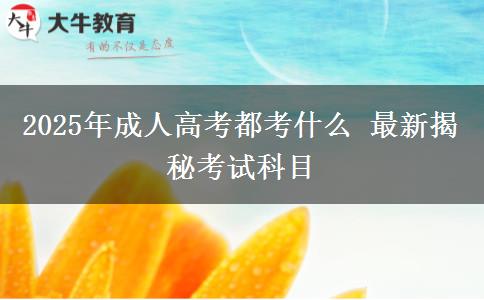 2025年成人高考都考什么 最新揭秘考試科目