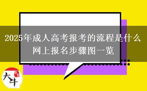2025年成人高考報考的流程是什么 網(wǎng)上報名步驟圖一覽