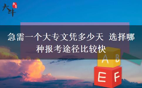 急需一個(gè)大專(zhuān)文憑多少天 選擇哪種報(bào)考途徑比較快