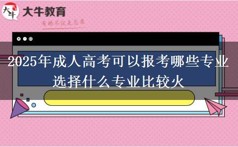 2025年成人高考可以報(bào)考哪些專業(yè) 選擇什么專業(yè)比較火