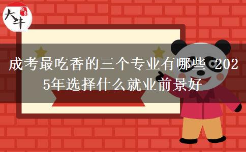 成考最吃香的三個(gè)專業(yè)有哪些 2025年選擇什么就業(yè)前景好