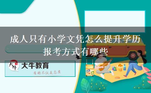 成人只有小學(xué)文憑怎么提升學(xué)歷 報(bào)考方式有哪些