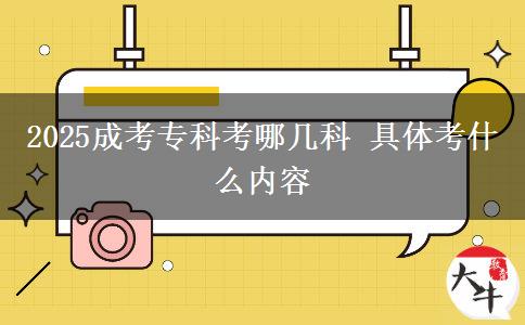 2025成考?？瓶寄膸卓?具體考什么內(nèi)容