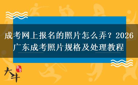 成考網(wǎng)上報(bào)名的照片怎么弄？2026 廣東成考照片規(guī)格及處理教程