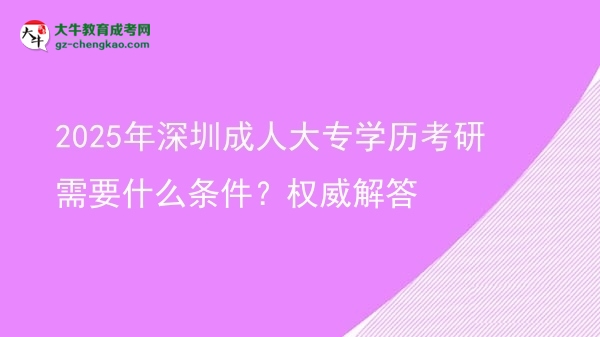 2025年深圳成人大專(zhuān)學(xué)歷考研需要什么條件？權(quán)威解答圖片