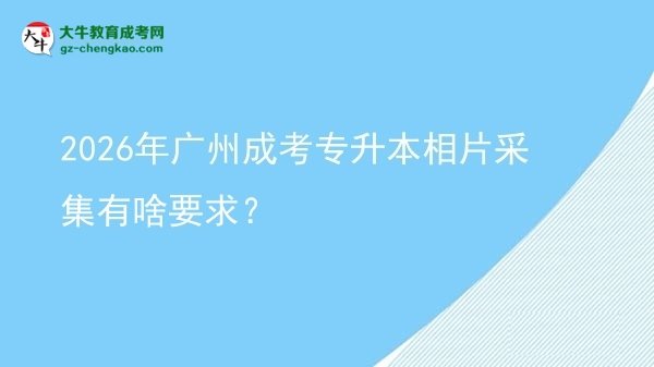 2026年廣州成考專升本相片采集有啥要求？圖片